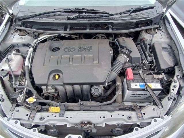 08.jpg