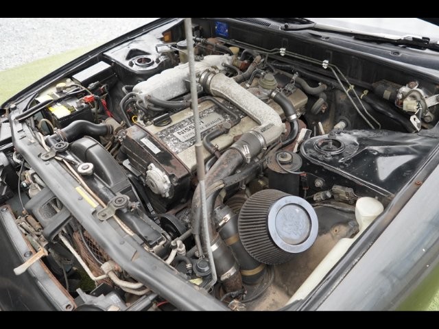 d5a09d7a22201f2a4672fdd310d016be.jpg