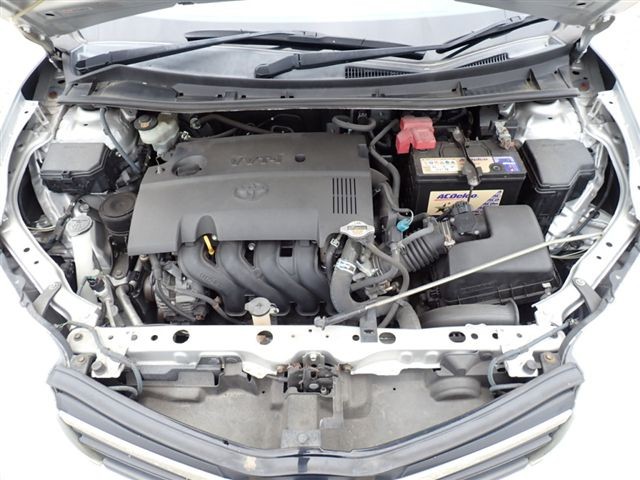08.jpg