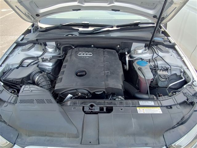 08.jpg