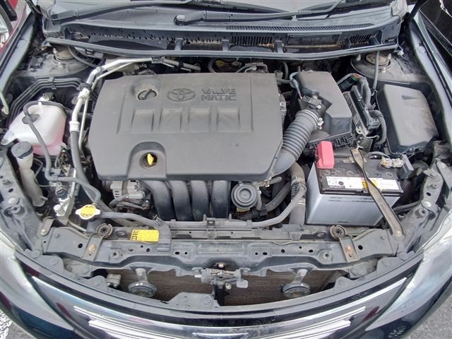 08.jpg