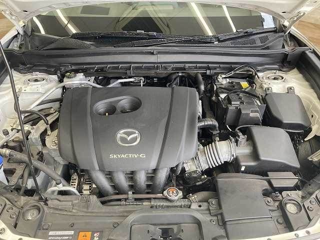 21e70fb1a5a244d2dcdb9a8f3026af58.jpg