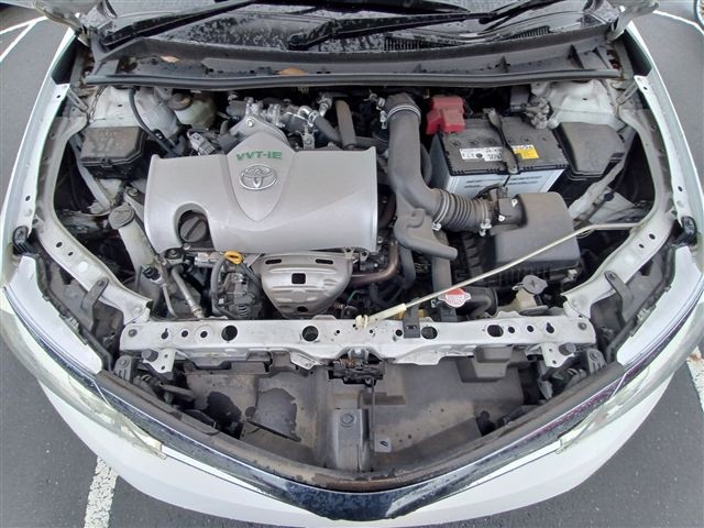08.jpg