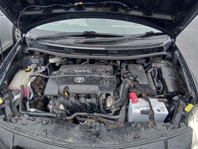 08.jpg
