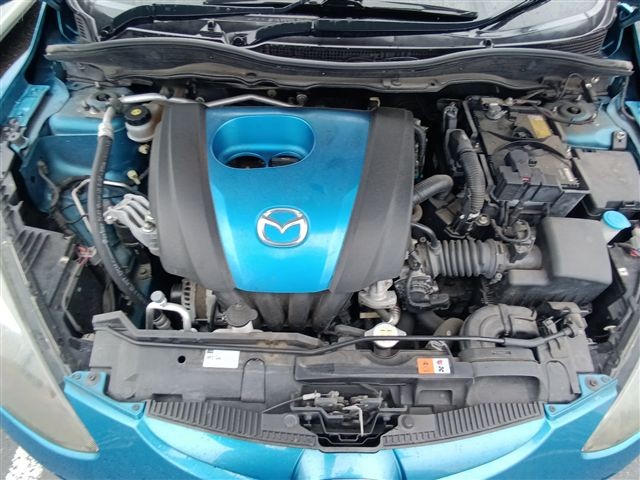 08.jpg