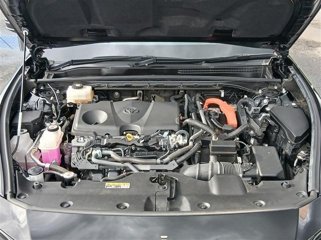 81fa8fb6649b6bde89f93d56904f6c62.jpg