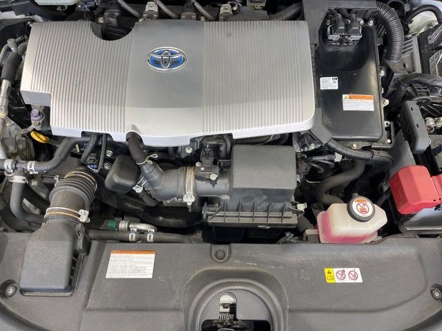 f11278e9246ed07b0631115a7e7663bb.jpg
