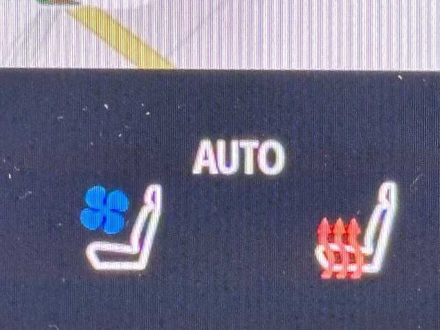 ce91536e5df41760953582163b6b66ab.jpg