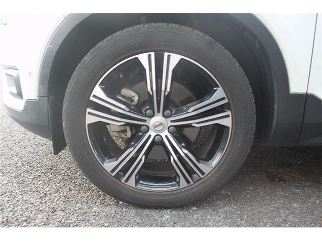 ce16313cf821d55863665cc71315a95f.jpg