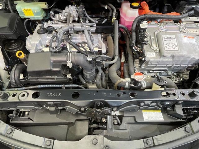 24f6eedc421fd6da4c0047e90066724d.jpg