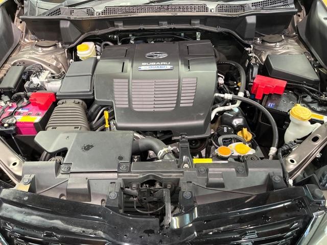 f106e8a53bdd3ebe53b041cb4b4d38dd.jpg