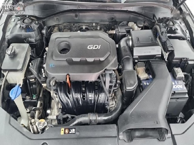 9d1906546cf1181a73090e07e8d66705.jpeg
