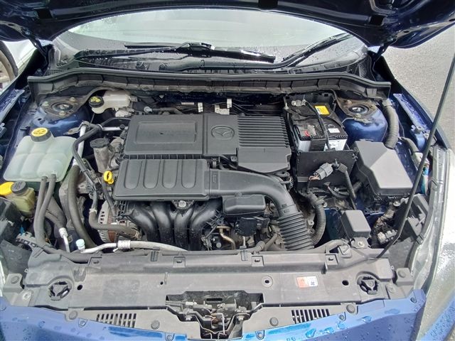 08.jpg