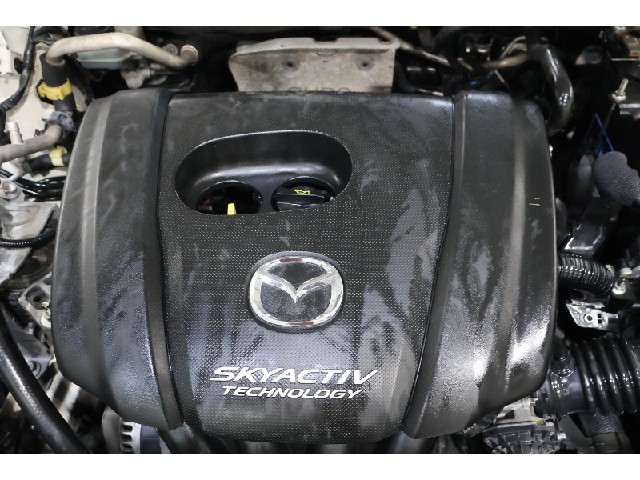 4afbf41453b7652b1236786d34313762.jpeg