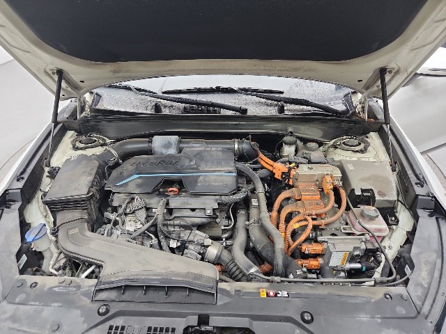lotterental_170843745_y1sqc_1.jpg
