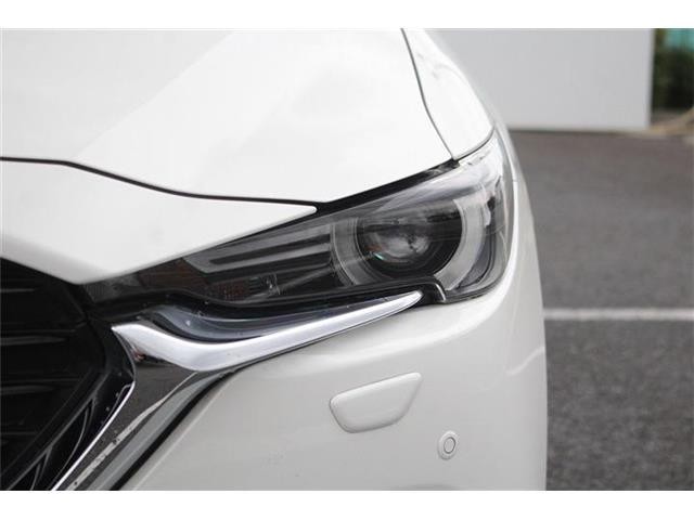 e2454453d4f58fb28b1269225d6832d7.jpg
