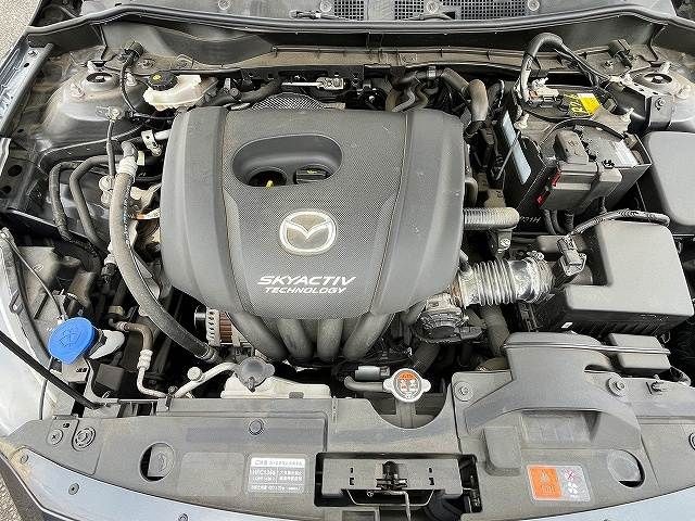 19a596148e84e5ae855961138d3bb61b.jpg