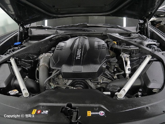 3101501156R5.jpg