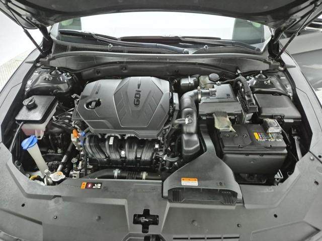 6031002006R5.jpg