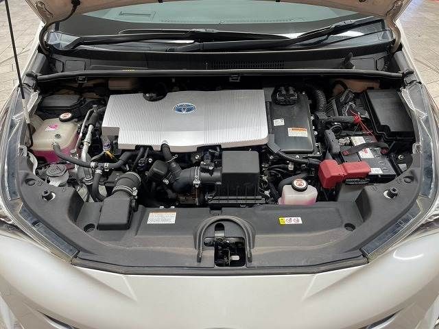 8f1e9530d21c3886250017aaad85be89.jpg