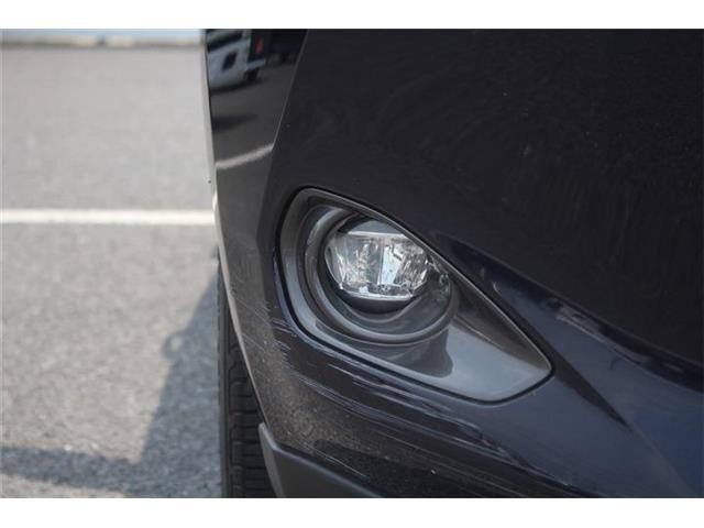 e991cab0fa6648f4b8aeabf81f51d538.jpg