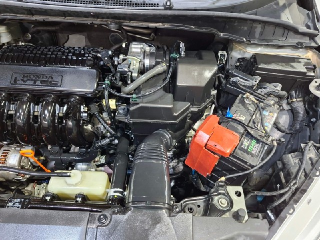 1effea8cd835ac62920a3e1469d2e6f3.jpeg