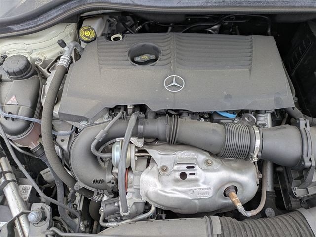 08.jpg