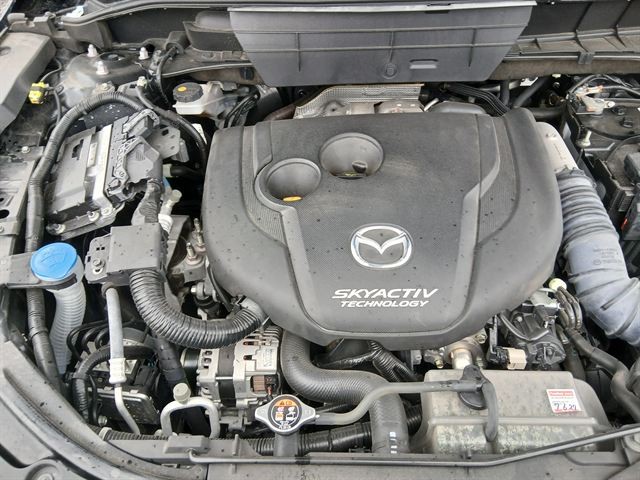 08.jpg