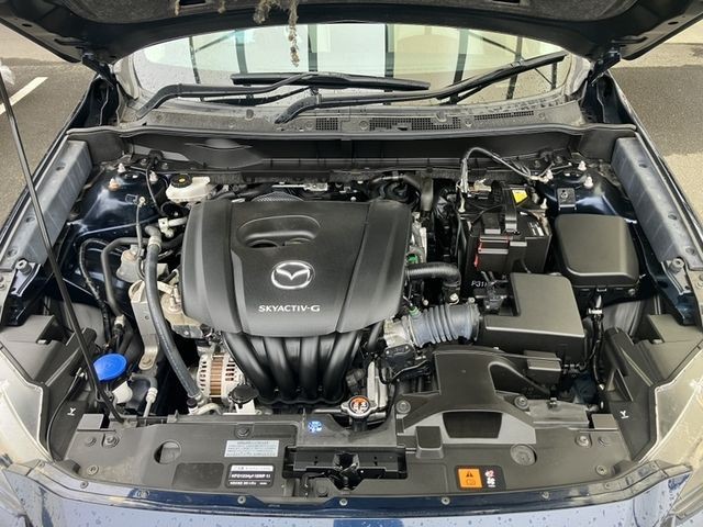 fde613126156bd9f59a03f9953592bf6.jpg