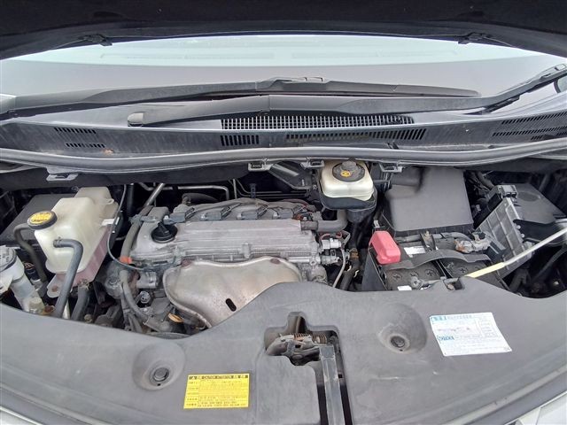 08.jpg
