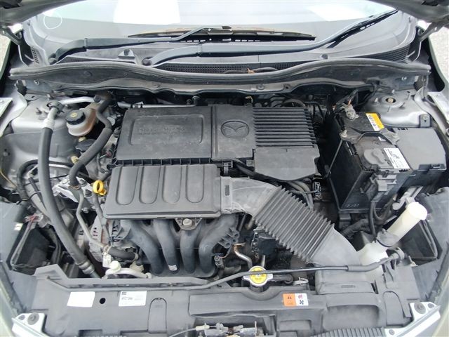 08.jpg