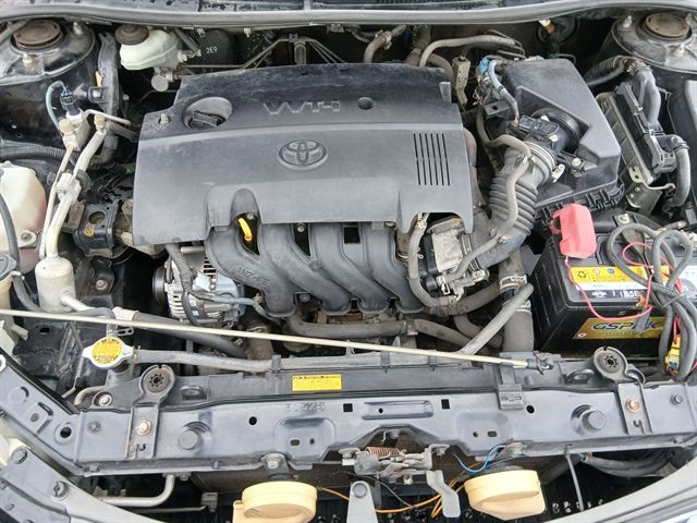 08.jpg