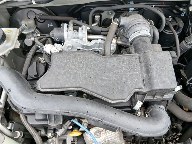 08.jpg