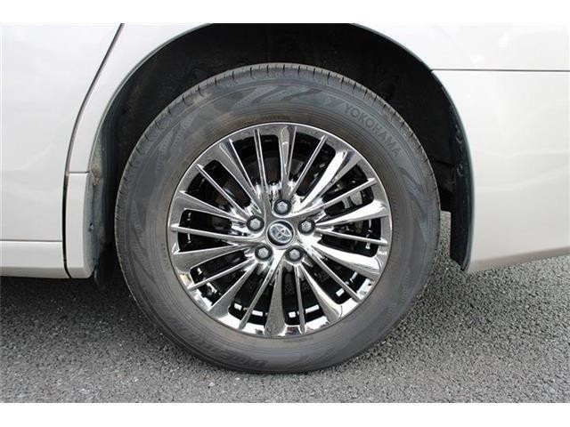 138a8c4ffa57fe318cf20e217cd744da.jpg