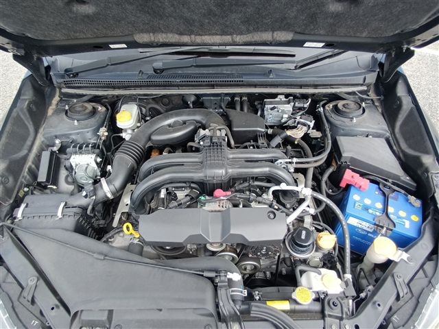 08.jpg