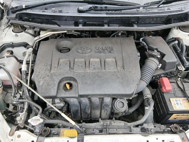 08.jpg