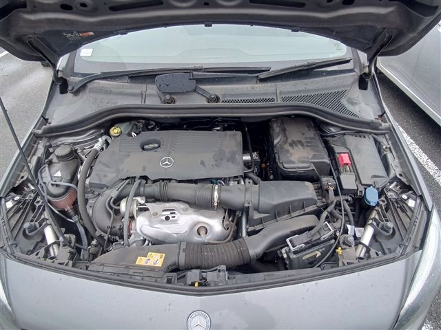 08.jpg