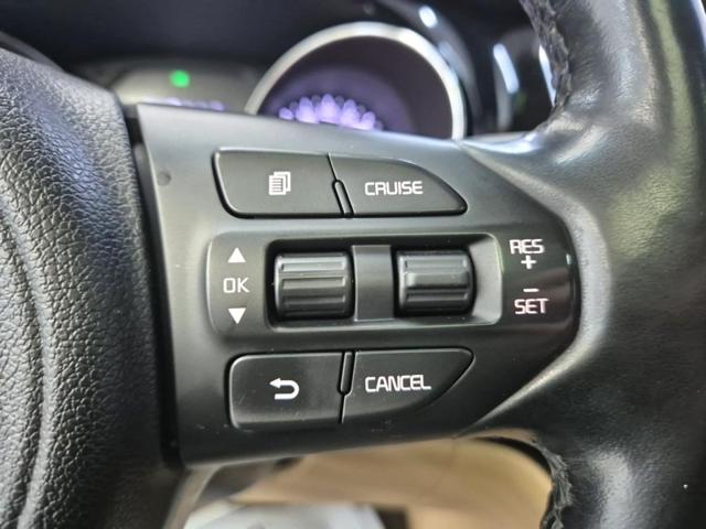 4031501690R17.jpg
