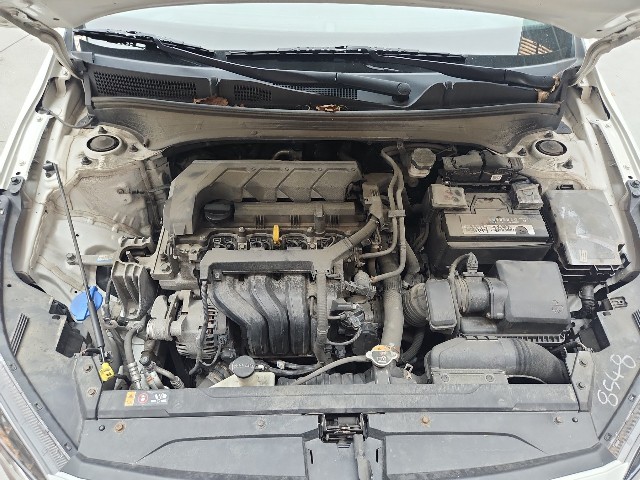 lotterental_230400763_zodcX_7.jpg