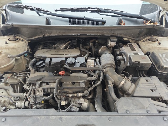 lotterental_154213170_uUe4d_9.jpg