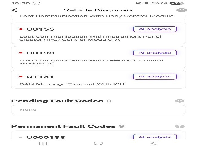 lotterental_154354342_h6vDi_1.jpg