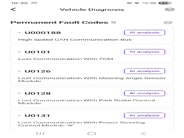 lotterental_154354468_FsTn1_5.jpg