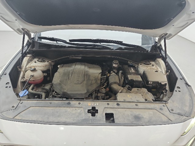 lotterental_22141229_H8oWe_6.jpg