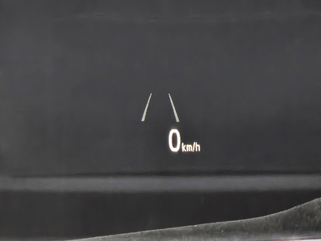 d9cea558345d21d5fff9a25dbadb3d08.jpeg
