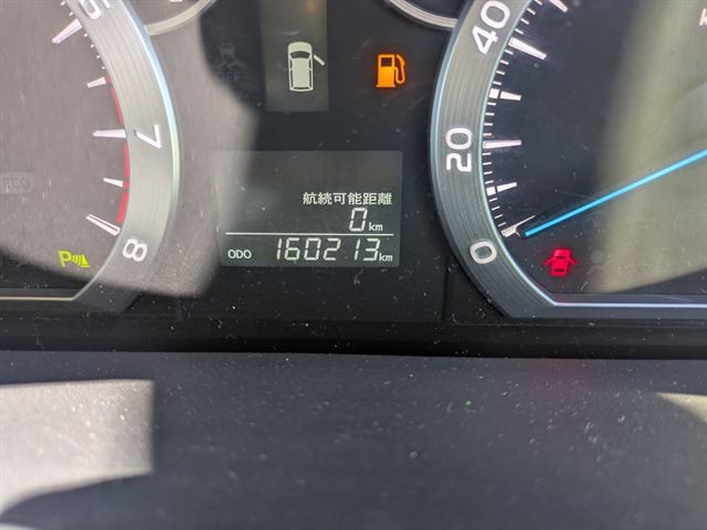 40.jpg