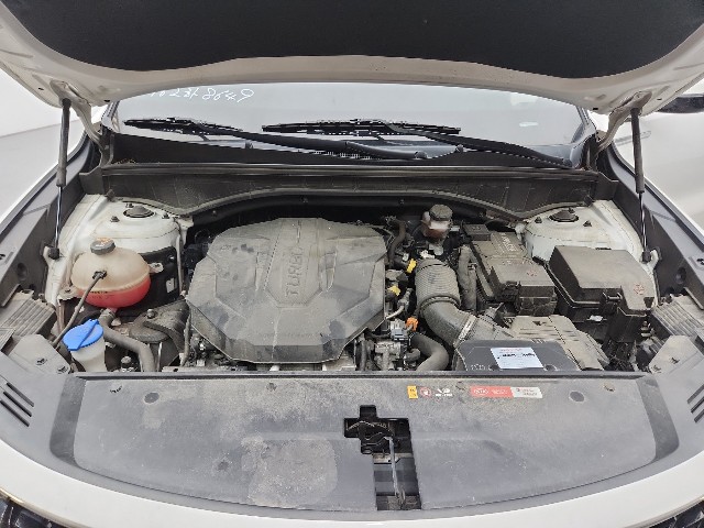 lotterental_140056704_Fl9Xk_9.jpg