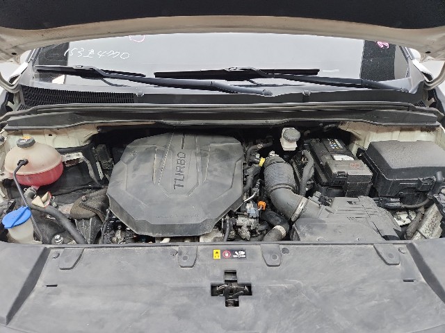 lotterental_135459200_mamKn_10.jpg