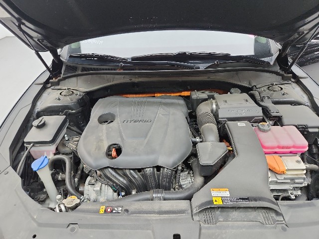 lotterental_135732516_fVN60_9.jpg