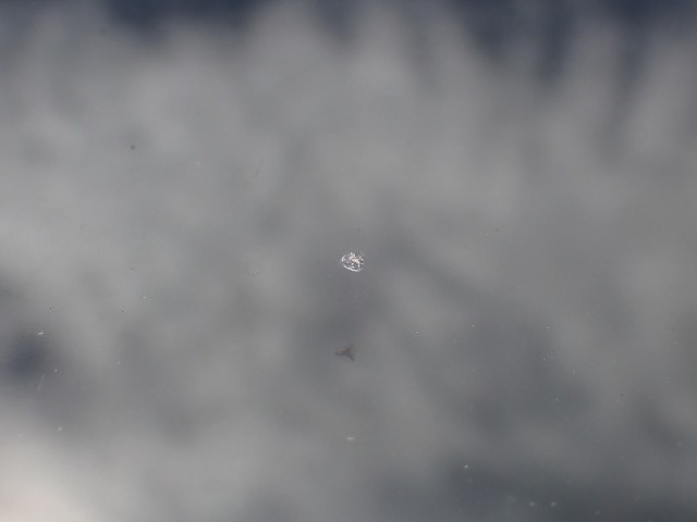 0ca856672370d7cc84cd120a91b265c6.jpeg