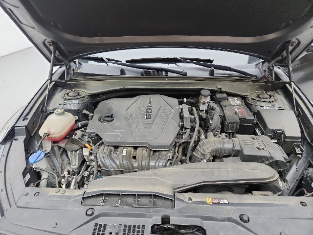 lotterental_144142401_p4iYt_9.jpg